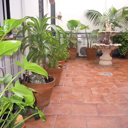 Moscatel Pensionat Málaga