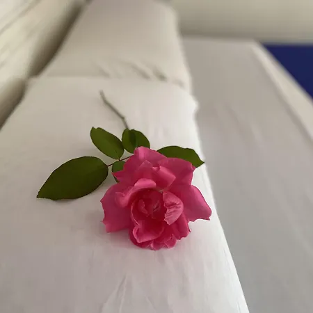 الشباب موسكاتيل بيت ضيافة 2*