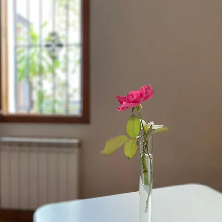 Guest house Moscatel Malaga