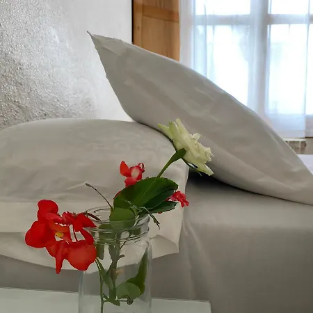 Moscatel Guest house Malaga